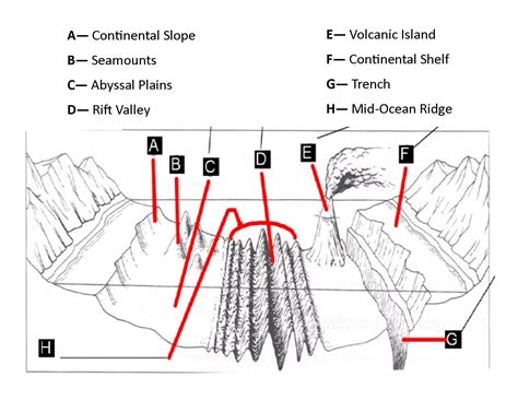 Ocean Floor Diagram With Lables | Free Worksheets Samples