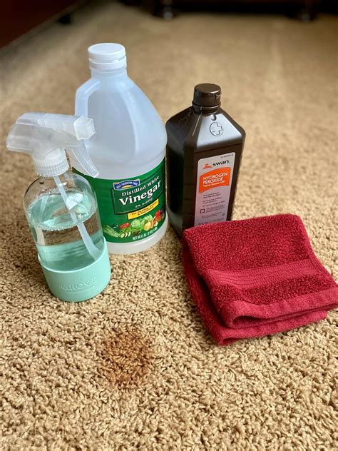 Easy diy homemade carpet spot cleaner recipe that works – Artofit