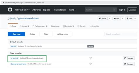 Java Study Point (Java iQ): Push a new local branch to a remote Git ...