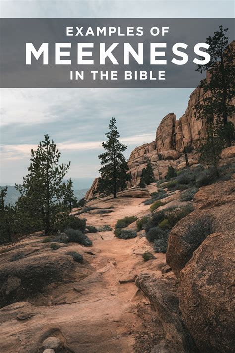 Image result for Meekness Examples