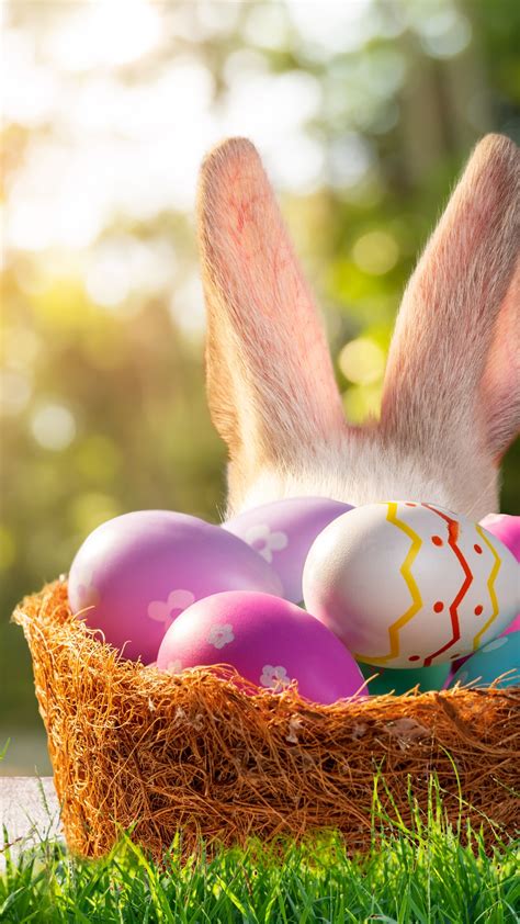 Happy Easter 2024: Wishes & Quotes To Share With Your Loved Ones On ...