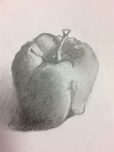 What Is Drawing From Observation - Surrealist Drawing Techniques