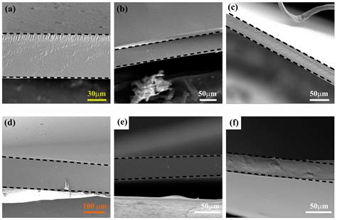 Enhanced OH− Transport Properties of Bio-Based Anion-Exchange Membranes ...