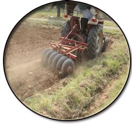 Expert System for Sugarcane