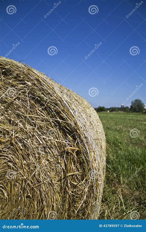Bundle of hay stock image. Image of farming, compressed - 43789597