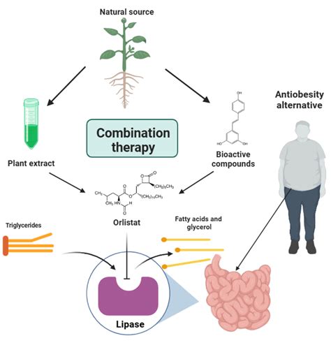 Combined Potential of Orlistat with Natural Sources and Their Bioactive Compounds Against ...