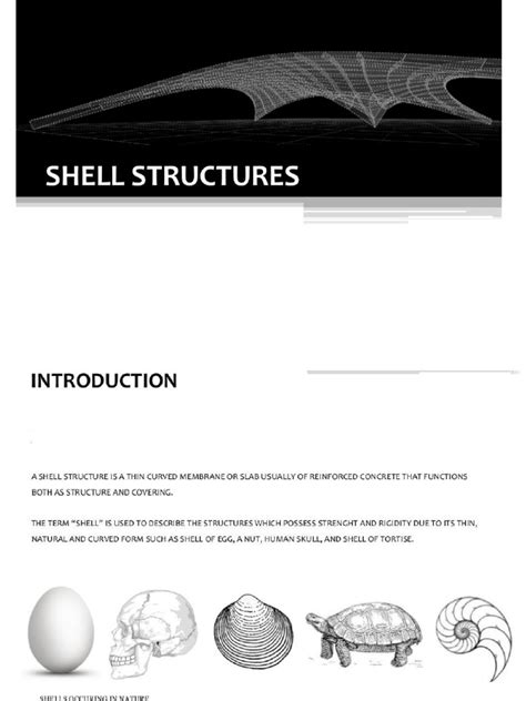 Image result for What Is a Shell Structure