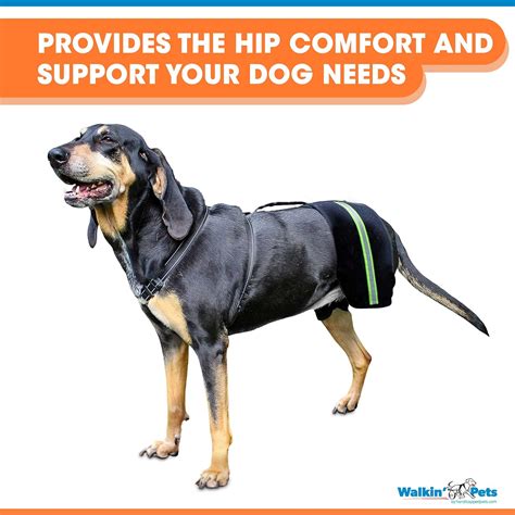 Buy Walkin' Hip-EEZ Dog Hip Brace Support Harness System | The Only Dog ...