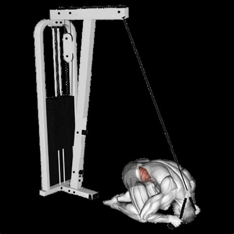 Cable Standing Crunch: Guide, Muscles Worked, Tips | Athlemove