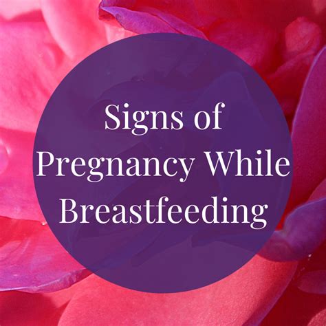 What Causes Period To Return While Breastfeeding at Henry Briggs blog