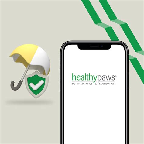 Healthy Paws Review | Pet Insurance | WealthRocket