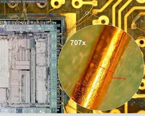 Image result for Magnification Examples