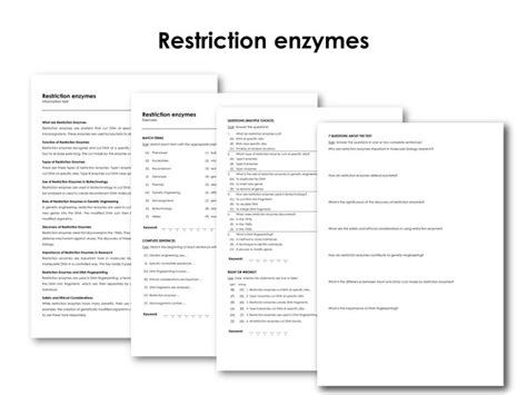 Image result for Restriction Enzymes Function
