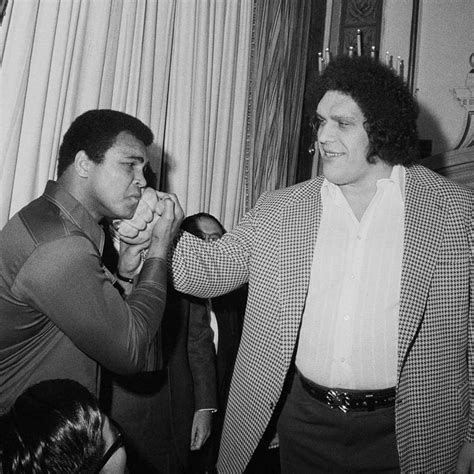 Andre The Giant Size