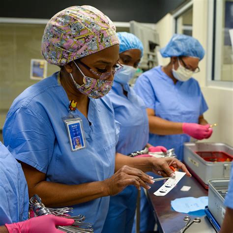 Central Sterile Processing Tech Training at Christy Nathan blog