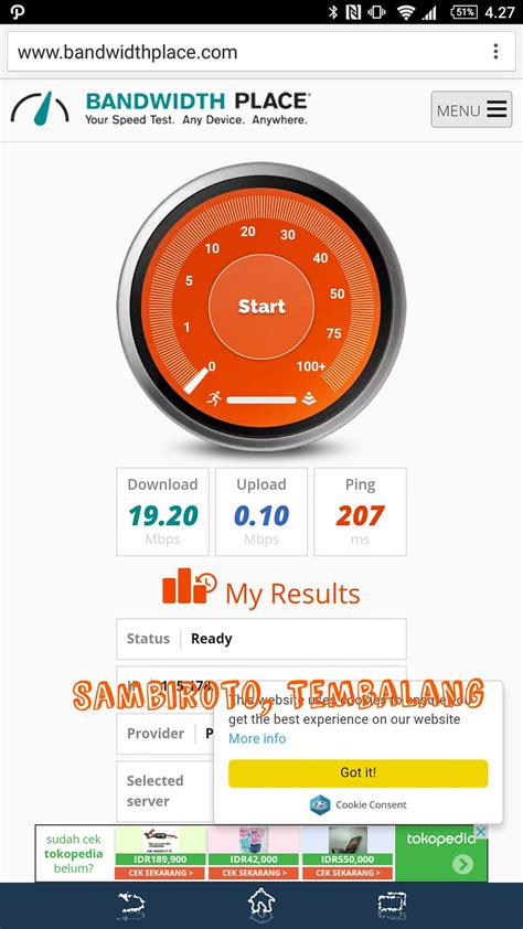 Bandwidth Usage Test 的图像结果