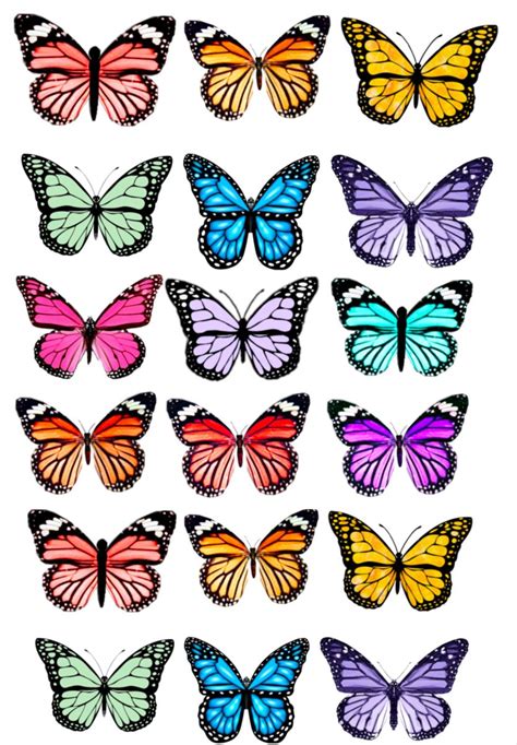 Image result for Butterfly Patterns