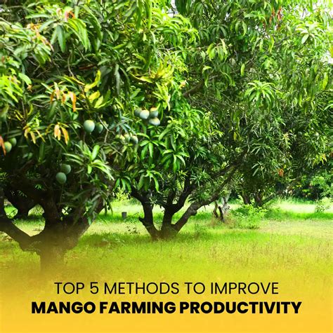 Exploring the Future of Agriculture: Insights and Innovations| Blog