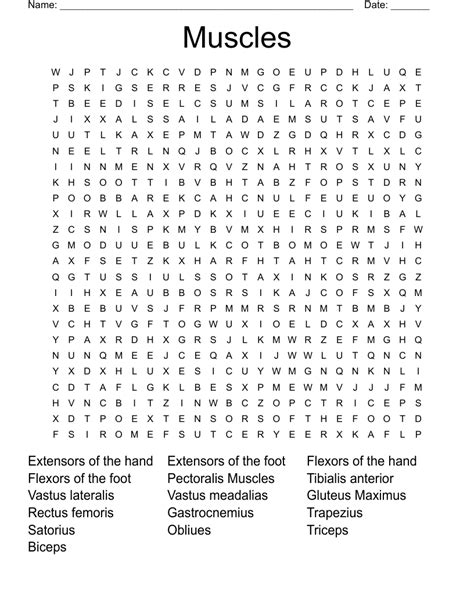 Image result for Muscle Word Search Printable