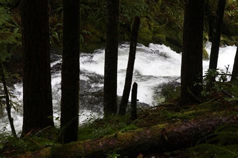 Kentucky Falls Trail leads to three spectacular waterfalls in Oregon’s ...