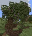 Image result for Minecraft Azalea Tree