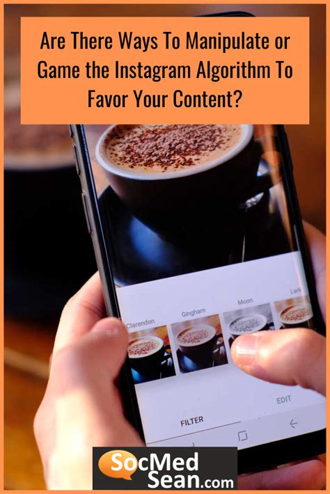 Image result for Instagram Algorithm Funny