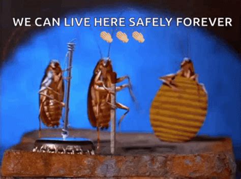 Cockroach Dance Meme 的图像结果