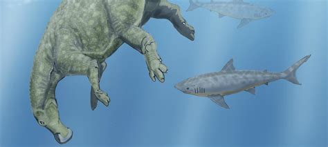 When Sharks Ate Dinosaurs | National Geographic