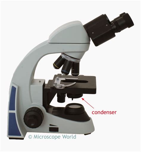 Image result for Condenser Microscope Function