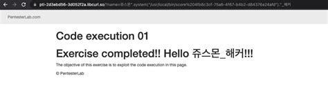 Image result for Code Injection in Pentesterlab