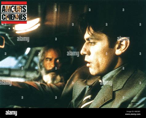 AMORES PERROS, (aka AMOURS CHIENNES), Emilio Echevarria (rear), Jorge ...