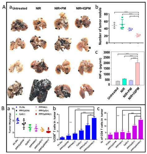 Nanomaterials for Skin Cancer Photoimmunotherapy