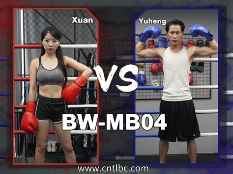 Boxing MH 的图像结果