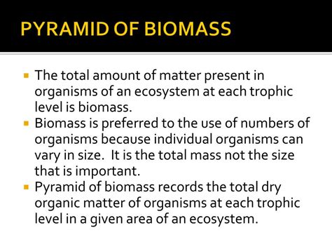 Image result for Ecological Pyramids Explained