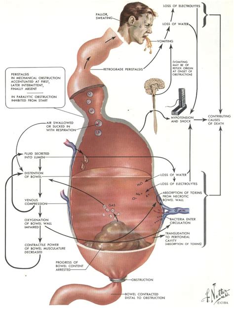 Image result for Flowchart of PSO Algorithm