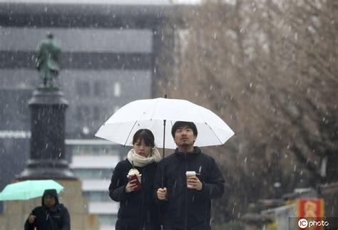 日本东京三月下雪 全城静谧如画-搜狐大视野-搜狐新闻