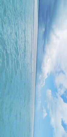 Top Fifi Zanzibar - Uroa | Tripadvisor