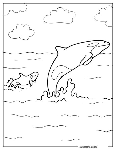 Free Orca Coloring Page