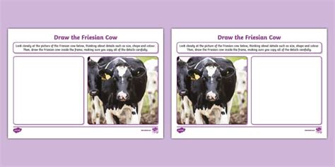 Draw the Friesian Cow Worksheet (teacher made) - Twinkl