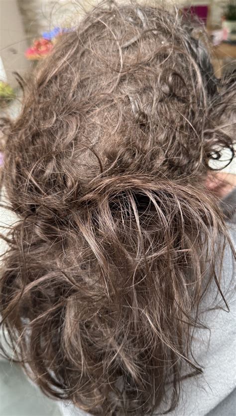 Tangled Hair Techs: Detangle Specialist Are Trained To Care About ...