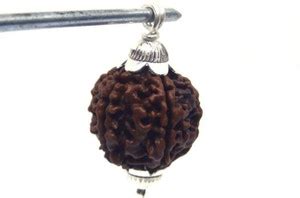 Beautum 4 Mukhi/Faced Nepali Rudraksha Natural & Rudraksha With Capping ...