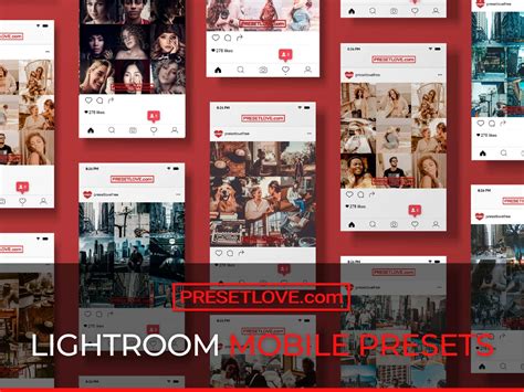313+ Free Lightroom Presets to Download for Mobile and Desktop