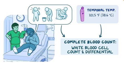 Complete blood count (CBC) - White blood cells (WBC) and differential ...