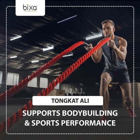 Buy BIXA BOTANICAL TONGKAT ALI ROOT POWDER -LONG JACK 100% PURE ROOT ...