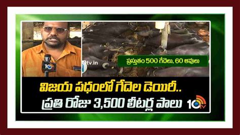 Dairy Farming : గేదెల డెయిరీతో ఆదర్శంగా నిలుస్తున్న పశ్చిమగోదావరి ...