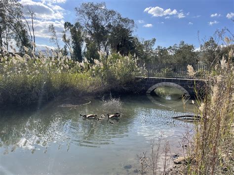 Quietly, a stretch of the Jordan River is being cleaned up and ...