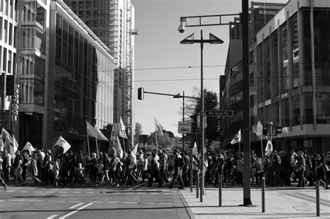 Demo Using the Alpha 的图像结果