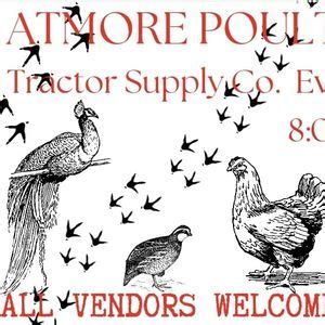 Atmore Poultry Market , 161 Lindberg Ave Atmore AL, 36502, Atmore, AL ...