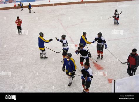 People Playing Hockey 的图像结果