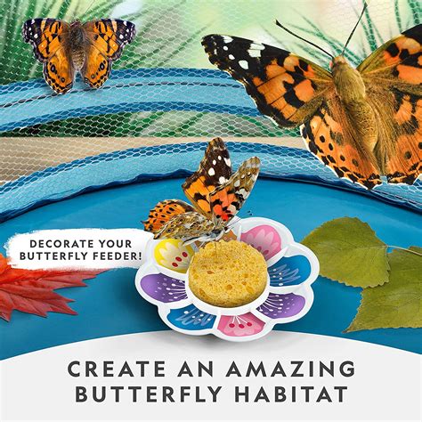 NATIONAL GEOGRAPHIC Butterfly Growing Kit | Think Blue Marble